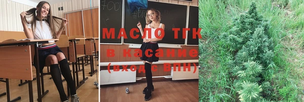 сатива Балахна