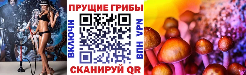 Псилоцибиновые грибы Cubensis  Старая Русса 